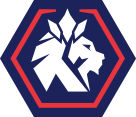 龙仁FC